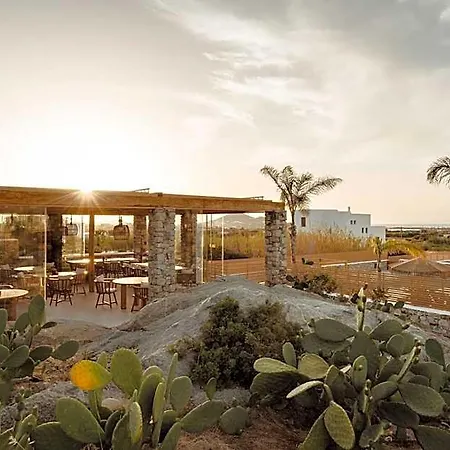 Cocopalm Naxos